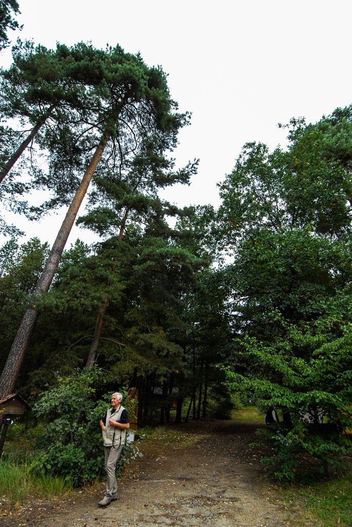 Arboretum Sofronka oslavila 60 let od svého založení (foto: M. Pecuch, 21.9.2016)