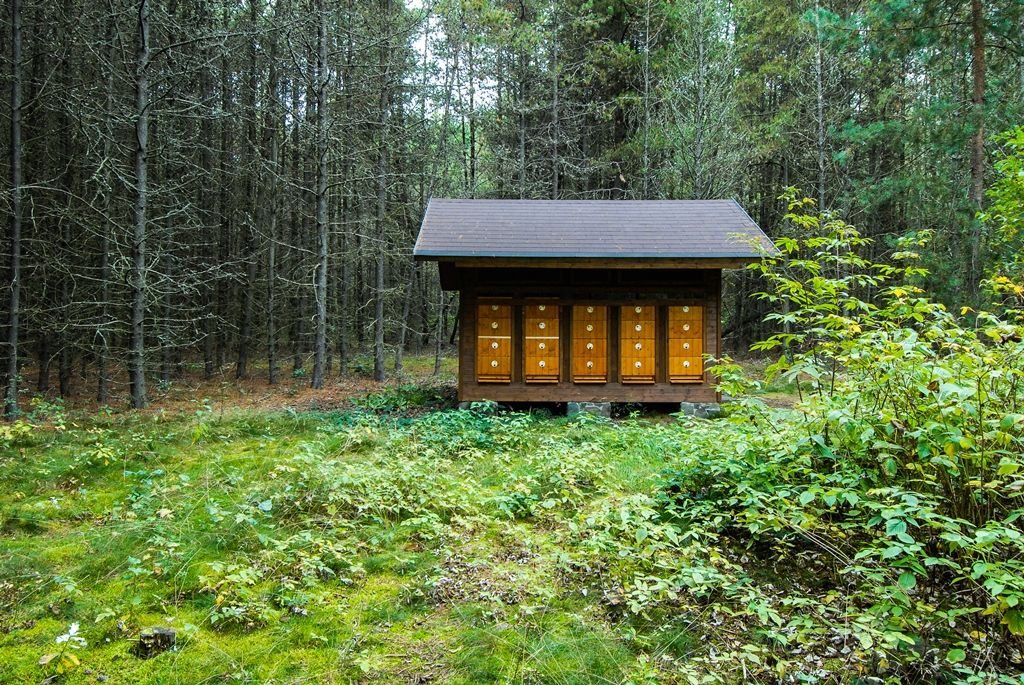 Arboretum Sofronka oslavila 60 let od svého založení (foto: M. Pecuch, 21.9.2016)