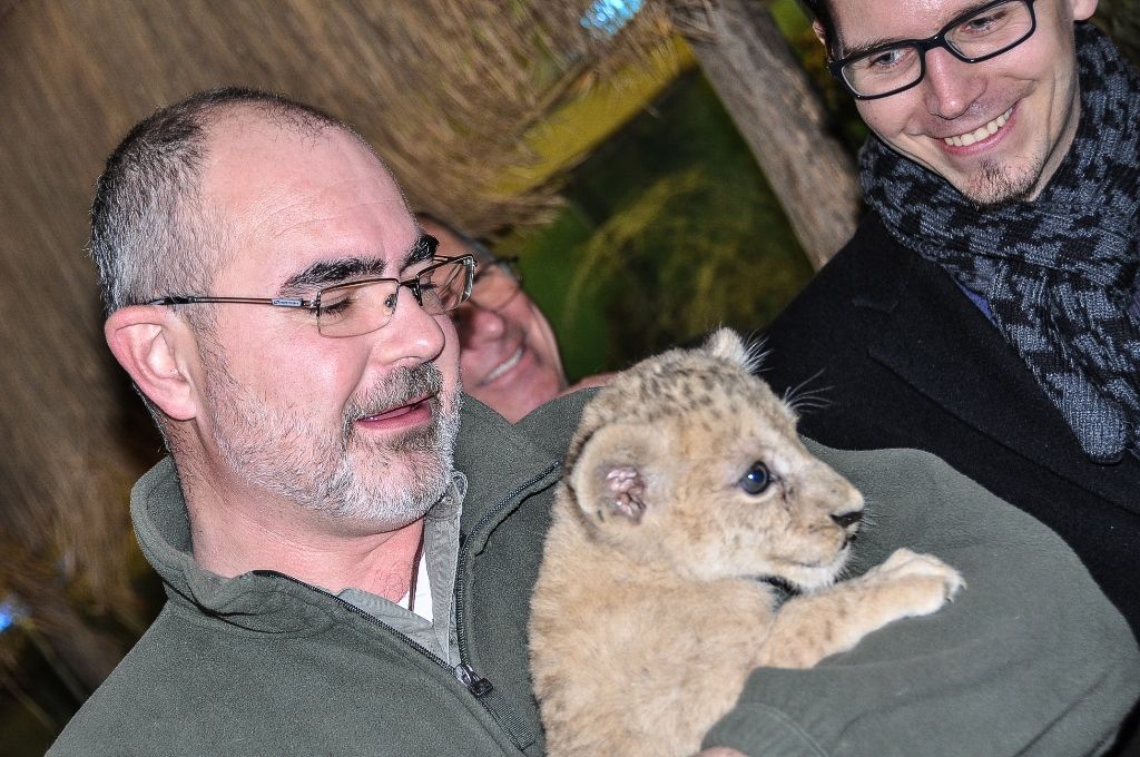 Primátor pokřtil samičku lva berberského, dostala jméno Amira (foto: M. Pecuch, 1.11.2016)
