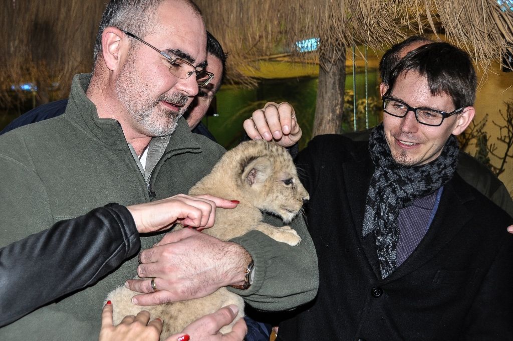 Primátor pokřtil samičku lva berberského, dostala jméno Amira (foto: M. Pecuch, 1.11.2016)