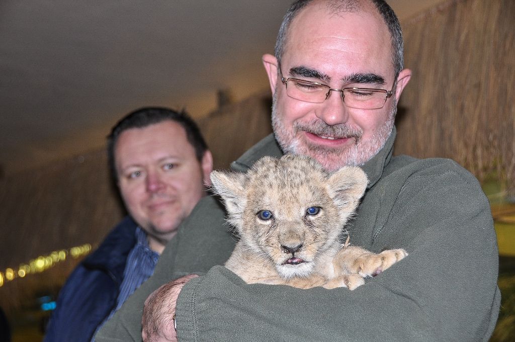 Primátor pokřtil samičku lva berberského, dostala jméno Amira (foto: M. Pecuch, 1.11.2016)