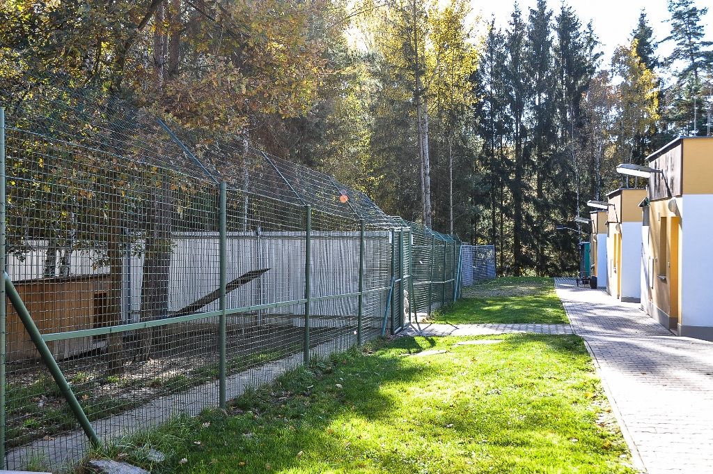 Primátor navštívil útulek pro zvířata (foto: M. Pecuch, 4.11.2016)