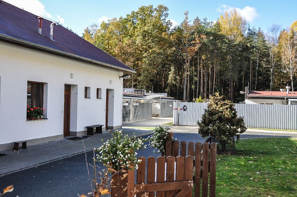Primátor navštívil útulek pro zvířata (foto: M. Pecuch, 4.11.2016)