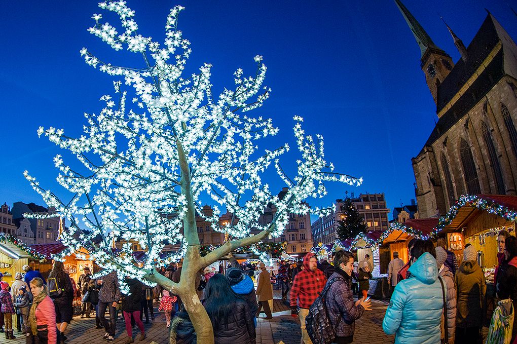 Plzeň rozsvítila svůj vánoční strom (foto: M. Chaloupka / M. Pecuch, 27.11.2016)