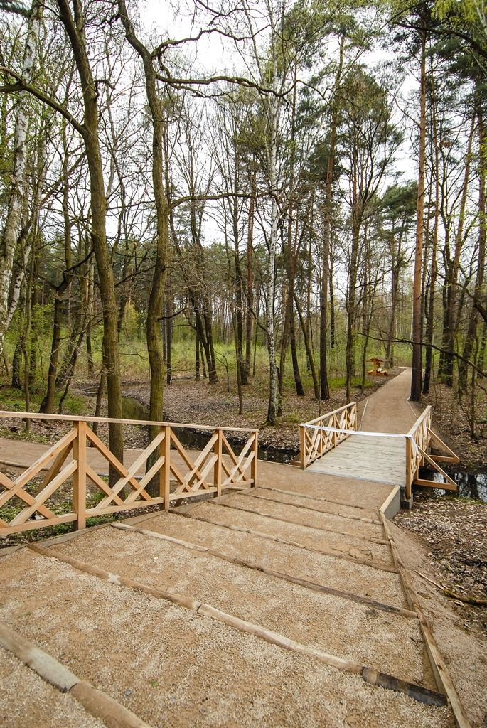 V Lesoparku Ostende čekají návštěvníky nové cesty i lesní tůně (foto: M. Pecuch, 27.4.2017)