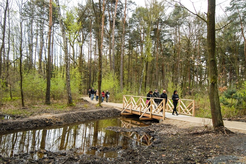 V Lesoparku Ostende čekají návštěvníky nové cesty i lesní tůně (foto: M. Pecuch, 27.4.2017)
