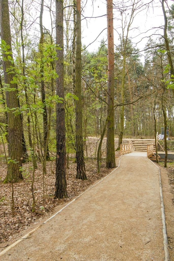 V Lesoparku Ostende čekají návštěvníky nové cesty i lesní tůně (foto: M. Pecuch, 27.4.2017)