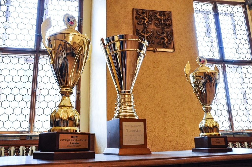 Úspěchy mladých hokejistů HC Plzeň 1929 ocenilo vedení města Plzně (foto: M. Pecuch, 14.6.2017)