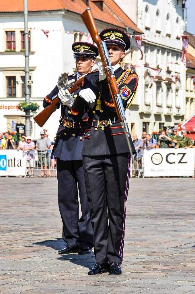 Plzeň poprvé zažila exhibiční přehlídku čestných stráží středoevropského regionu (foto: M. Pecuch, 22.6.2017)
