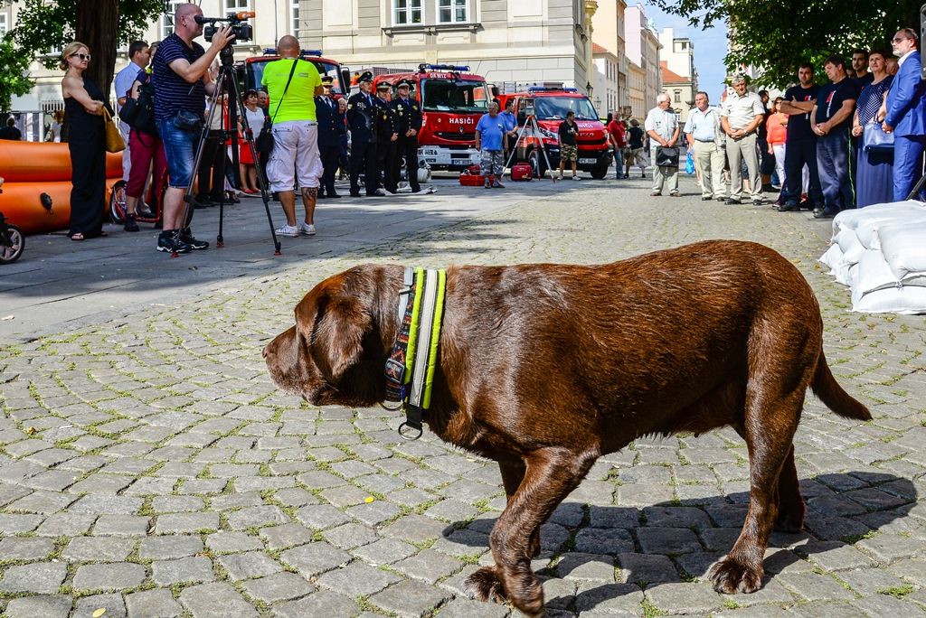 Výstava dobrovolných hasičů připomíná povodeň před 15 lety (foto: M. Pecuch, 24.8.2017)