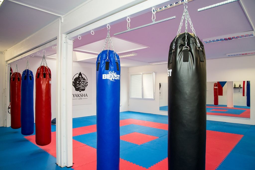 Nové centrum pro sport, tanec a umění Krašovská Aktivity centrum Plzeň (foto: M. Pecuch, 21.11.2017)