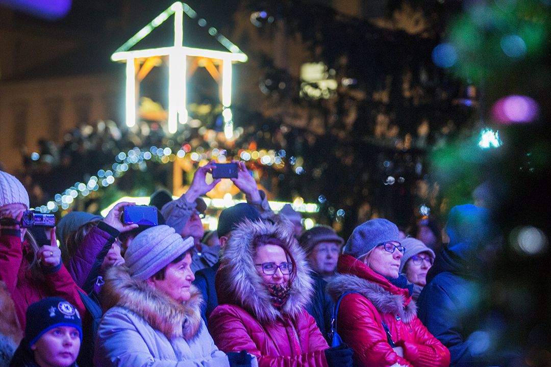 Vánoční strom v Plzni (foto: M. Chaloupka, 3.12.2017)