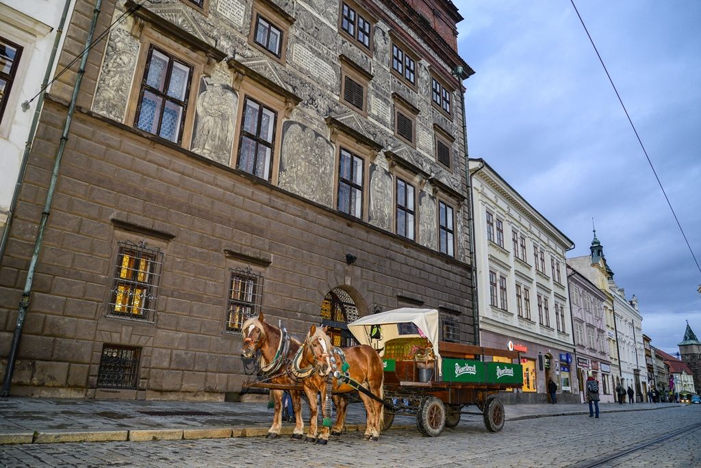 Zahájení Tříkrálové sbírky v Plzni (foto: M. Pecuch, 3.1.2018)