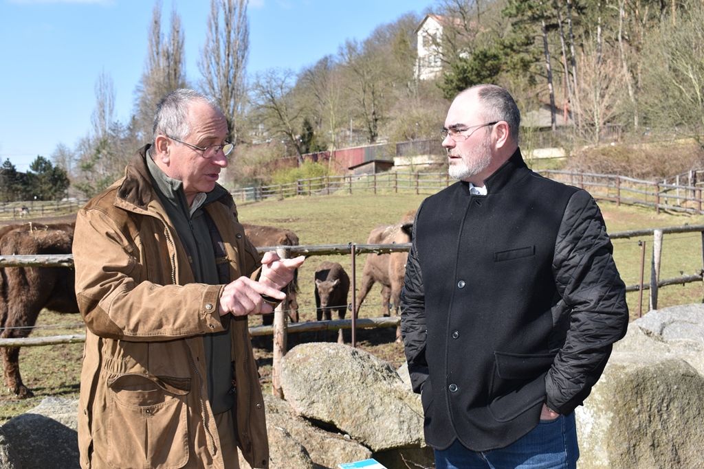 Devátý zubr plzeňské zoo dostal jméno Ony (foto: A. Jarošová, 21.3.2018)