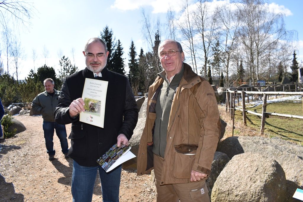 Devátý zubr plzeňské zoo dostal jméno Ony (foto: A. Jarošová, 21.3.2018)