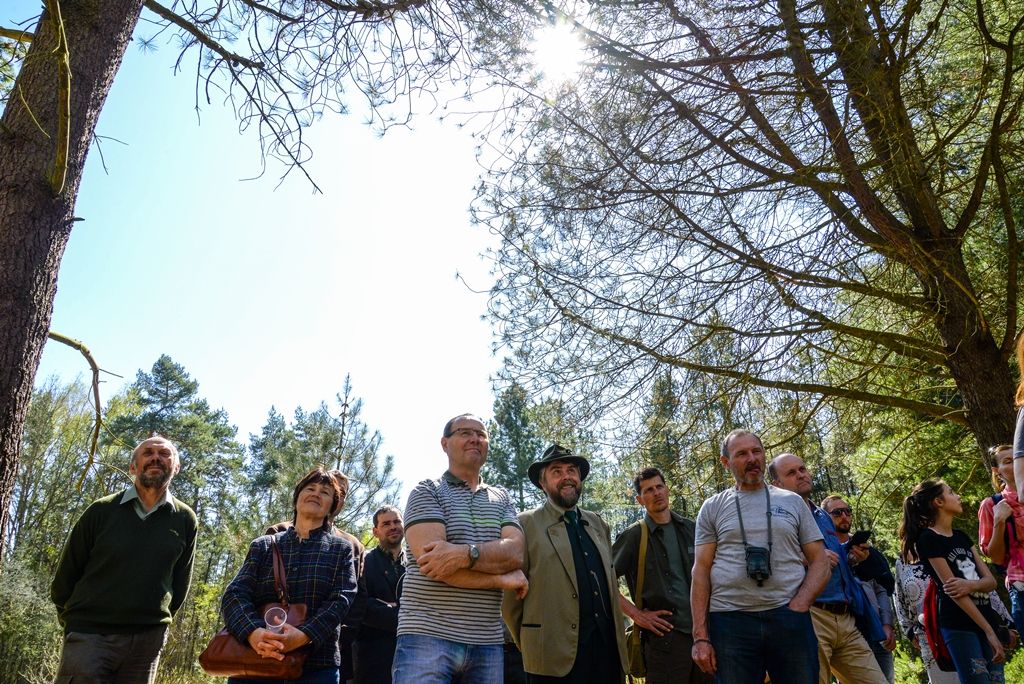 Profesor Sigmond má na Sofronce pamětní desku (foto: M. Pecuch, 18.4.2018)