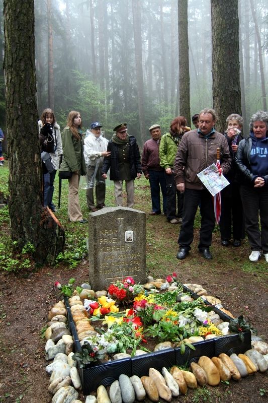 V pondělí 3. května 2010 navštívili zástupci belgických veteránů, kteří se účastnili Slavností svobody 2010, také město Holýšov. Pánové Artur Otto a Louis A.H. Gilhoul, se zúčastnili slavnostního odhalení Pamětní desky veteránům 17. belgického střeleckého praporu. Ve středu 5. května 2010 se američtí veteráni vydali na cestu po západních Čechách. Zamířili např. do Trhanova, kde uctili památku pilota Virgila Paula Kirkhama, který byl v posledních dnech války sestřelen se svým letounem a havaroval v lese právě poblíž Trhanova. Američtí veteráni navštívili také Domažlice a Kdyni.