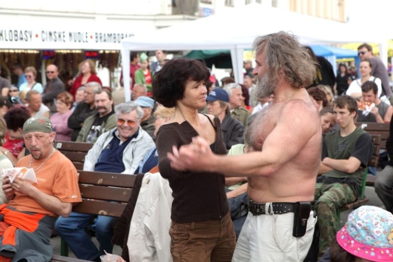 Na folkové scéně před DK Peklo se během Slavností svobody 2010 představily v sobotu, 1. května 2010, kapely Poitín, BlueGate, After Six, Storm a Poutníci. V neděli, 2. května 2010,  vystoupili Míša Leicht, žáci ZUŠ B. Smetany v Plzni a kapely Roháči a Strašlivá podívaná.