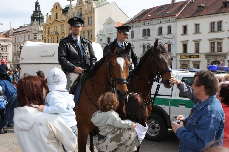 V rámci kulturního programu se na plzeňském náměstí Republiky představili mimo jiné Jan Vyčítal & Zelenáči, skupiny Taxmeni, Cop, BlueGate, Michal Tučný Revival nebo Jack Daniel. Nejvíce pozornosti přitahovali hosté nejvzácnější – váleční veteráni. Do atmosféry dnů osvobození přenesla návštěvníky i taneční zábava v retro stylu se skupinou Louisovi sirotci.
Slavnosti svobody  uzavřel v Plzni 6. května 2010 večer velký ohňostroj, který přihlížející diváci v závěru ocenili potleskem. Předcházel mu kulturní program v sadovém okruhu města, ve kterém se představili lidé v dobovém oblečení, zahrála černošská kapela s Marilyn Monroe a stepaři, dále skupiny Foligno, His Blue Star, Konrádyho malá dudácká kapela, Láďa Kerndl a Milan Benedikt Karpíšek. V ulicích byli také herci, kteří návštěvníkům přiblížili, jak vypadal život tehdejších obyvatel města a také některé historické momenty.