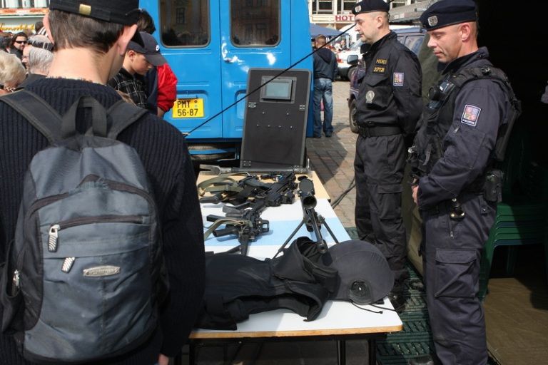 V rámci kulturního programu se na plzeňském náměstí Republiky představili mimo jiné Jan Vyčítal & Zelenáči, skupiny Taxmeni, Cop, BlueGate, Michal Tučný Revival nebo Jack Daniel. Nejvíce pozornosti přitahovali hosté nejvzácnější – váleční veteráni. Do atmosféry dnů osvobození přenesla návštěvníky i taneční zábava v retro stylu se skupinou Louisovi sirotci.
Slavnosti svobody  uzavřel v Plzni 6. května 2010 večer velký ohňostroj, který přihlížející diváci v závěru ocenili potleskem. Předcházel mu kulturní program v sadovém okruhu města, ve kterém se představili lidé v dobovém oblečení, zahrála černošská kapela s Marilyn Monroe a stepaři, dále skupiny Foligno, His Blue Star, Konrádyho malá dudácká kapela, Láďa Kerndl a Milan Benedikt Karpíšek. V ulicích byli také herci, kteří návštěvníkům přiblížili, jak vypadal život tehdejších obyvatel města a také některé historické momenty.