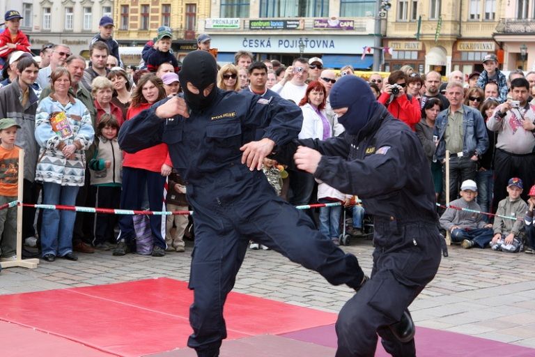 V rámci kulturního programu se na plzeňském náměstí Republiky představili mimo jiné Jan Vyčítal & Zelenáči, skupiny Taxmeni, Cop, BlueGate, Michal Tučný Revival nebo Jack Daniel. Nejvíce pozornosti přitahovali hosté nejvzácnější – váleční veteráni. Do atmosféry dnů osvobození přenesla návštěvníky i taneční zábava v retro stylu se skupinou Louisovi sirotci.
Slavnosti svobody  uzavřel v Plzni 6. května 2010 večer velký ohňostroj, který přihlížející diváci v závěru ocenili potleskem. Předcházel mu kulturní program v sadovém okruhu města, ve kterém se představili lidé v dobovém oblečení, zahrála černošská kapela s Marilyn Monroe a stepaři, dále skupiny Foligno, His Blue Star, Konrádyho malá dudácká kapela, Láďa Kerndl a Milan Benedikt Karpíšek. V ulicích byli také herci, kteří návštěvníkům přiblížili, jak vypadal život tehdejších obyvatel města a také některé historické momenty.