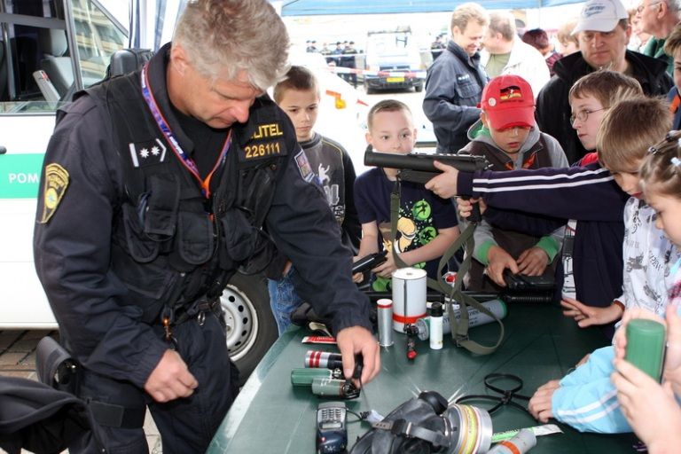V rámci kulturního programu se na plzeňském náměstí Republiky představili mimo jiné Jan Vyčítal & Zelenáči, skupiny Taxmeni, Cop, BlueGate, Michal Tučný Revival nebo Jack Daniel. Nejvíce pozornosti přitahovali hosté nejvzácnější – váleční veteráni. Do atmosféry dnů osvobození přenesla návštěvníky i taneční zábava v retro stylu se skupinou Louisovi sirotci.
Slavnosti svobody  uzavřel v Plzni 6. května 2010 večer velký ohňostroj, který přihlížející diváci v závěru ocenili potleskem. Předcházel mu kulturní program v sadovém okruhu města, ve kterém se představili lidé v dobovém oblečení, zahrála černošská kapela s Marilyn Monroe a stepaři, dále skupiny Foligno, His Blue Star, Konrádyho malá dudácká kapela, Láďa Kerndl a Milan Benedikt Karpíšek. V ulicích byli také herci, kteří návštěvníkům přiblížili, jak vypadal život tehdejších obyvatel města a také některé historické momenty.