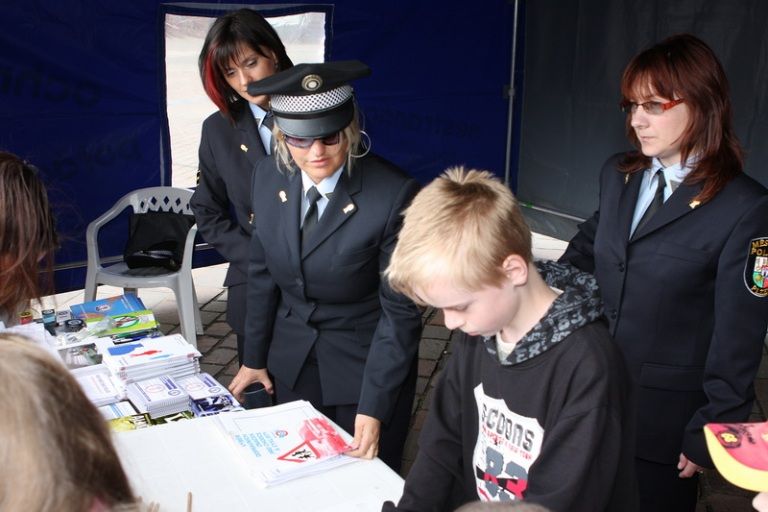 V rámci kulturního programu se na plzeňském náměstí Republiky představili mimo jiné Jan Vyčítal & Zelenáči, skupiny Taxmeni, Cop, BlueGate, Michal Tučný Revival nebo Jack Daniel. Nejvíce pozornosti přitahovali hosté nejvzácnější – váleční veteráni. Do atmosféry dnů osvobození přenesla návštěvníky i taneční zábava v retro stylu se skupinou Louisovi sirotci.
Slavnosti svobody  uzavřel v Plzni 6. května 2010 večer velký ohňostroj, který přihlížející diváci v závěru ocenili potleskem. Předcházel mu kulturní program v sadovém okruhu města, ve kterém se představili lidé v dobovém oblečení, zahrála černošská kapela s Marilyn Monroe a stepaři, dále skupiny Foligno, His Blue Star, Konrádyho malá dudácká kapela, Láďa Kerndl a Milan Benedikt Karpíšek. V ulicích byli také herci, kteří návštěvníkům přiblížili, jak vypadal život tehdejších obyvatel města a také některé historické momenty.