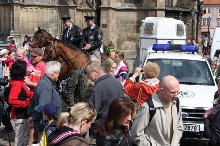 V rámci kulturního programu se na plzeňském náměstí Republiky představili mimo jiné Jan Vyčítal & Zelenáči, skupiny Taxmeni, Cop, BlueGate, Michal Tučný Revival nebo Jack Daniel. Nejvíce pozornosti přitahovali hosté nejvzácnější – váleční veteráni. Do atmosféry dnů osvobození přenesla návštěvníky i taneční zábava v retro stylu se skupinou Louisovi sirotci.
Slavnosti svobody  uzavřel v Plzni 6. května 2010 večer velký ohňostroj, který přihlížející diváci v závěru ocenili potleskem. Předcházel mu kulturní program v sadovém okruhu města, ve kterém se představili lidé v dobovém oblečení, zahrála černošská kapela s Marilyn Monroe a stepaři, dále skupiny Foligno, His Blue Star, Konrádyho malá dudácká kapela, Láďa Kerndl a Milan Benedikt Karpíšek. V ulicích byli také herci, kteří návštěvníkům přiblížili, jak vypadal život tehdejších obyvatel města a také některé historické momenty.