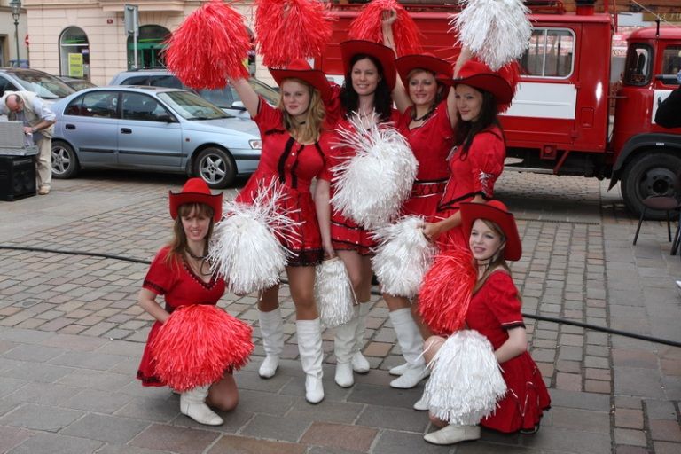 V rámci kulturního programu se na plzeňském náměstí Republiky představili mimo jiné Jan Vyčítal & Zelenáči, skupiny Taxmeni, Cop, BlueGate, Michal Tučný Revival nebo Jack Daniel. Nejvíce pozornosti přitahovali hosté nejvzácnější – váleční veteráni. Do atmosféry dnů osvobození přenesla návštěvníky i taneční zábava v retro stylu se skupinou Louisovi sirotci.
Slavnosti svobody  uzavřel v Plzni 6. května 2010 večer velký ohňostroj, který přihlížející diváci v závěru ocenili potleskem. Předcházel mu kulturní program v sadovém okruhu města, ve kterém se představili lidé v dobovém oblečení, zahrála černošská kapela s Marilyn Monroe a stepaři, dále skupiny Foligno, His Blue Star, Konrádyho malá dudácká kapela, Láďa Kerndl a Milan Benedikt Karpíšek. V ulicích byli také herci, kteří návštěvníkům přiblížili, jak vypadal život tehdejších obyvatel města a také některé historické momenty.