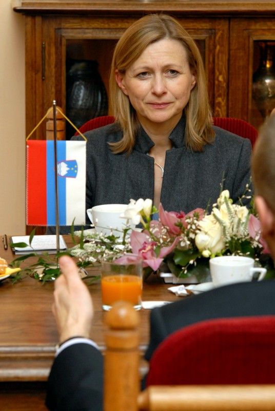 Tři oblasti, ve kterých primátor Martin Baxa vidí potenciál možné spolupráce mezi Slovinskem a Plzní, univerzitu, průmysl a cestovní ruch, představil J. E. Smiljaně Knez, velvyslankyni Slovinské republiky, při její první návštěvě plzeňské radnice v úterý 29. ledna 2013.