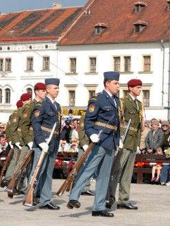 Exhibiční vystoupení jednotky čestné stráže Armády ČR