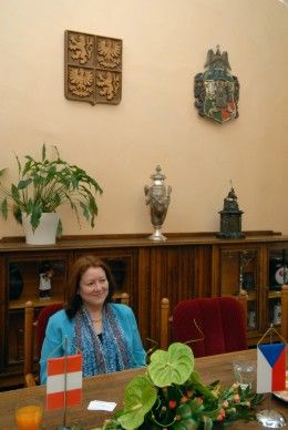 S konkrétním návrhem uspořádat soutěž pro studenty gymnázia zaměřenou na Peru přijela (20.5.2011) na setkání s plzeňským primátorem Martinem Baxou velvyslankyně Peruánské republiky María Susana Landaveri Porturas. „Plzeň je pro nás důležitým městem. Peru se snaží rozšiřovat vazby s Českou republikou nejen v oblasti investiční a obchodní, ale snaží se posilovat dlouhodobé vztahy na komunální úrovni také v kultuře a ve školství. Plzeň je pro nás příležitost a možností, jak spolupracovat, je mnoho i vzhledem k získání titulu Evropské hlavní město kultury 2015,“ uvedla velvyslankyně.

Soutěž, kterou chce peruánské velvyslanectví podpořit, by měla být podle velvyslankyně dobře načasovaná, zkoordinovaná s učebním plánem školy a především tématicky zajímavá.

Setkání se také zúčastnil Aleš Janoušek, člen městského zastupitelstva, který je občanským povoláním učitel španělštiny na plzeňském Gymnáziu Luďka Piky.