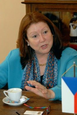 S konkrétním návrhem uspořádat soutěž pro studenty gymnázia zaměřenou na Peru přijela (20.5.2011) na setkání s plzeňským primátorem Martinem Baxou velvyslankyně Peruánské republiky María Susana Landaveri Porturas. „Plzeň je pro nás důležitým městem. Peru se snaží rozšiřovat vazby s Českou republikou nejen v oblasti investiční a obchodní, ale snaží se posilovat dlouhodobé vztahy na komunální úrovni také v kultuře a ve školství. Plzeň je pro nás příležitost a možností, jak spolupracovat, je mnoho i vzhledem k získání titulu Evropské hlavní město kultury 2015,“ uvedla velvyslankyně.

Soutěž, kterou chce peruánské velvyslanectví podpořit, by měla být podle velvyslankyně dobře načasovaná, zkoordinovaná s učebním plánem školy a především tématicky zajímavá.

Setkání se také zúčastnil Aleš Janoušek, člen městského zastupitelstva, který je občanským povoláním učitel španělštiny na plzeňském Gymnáziu Luďka Piky.