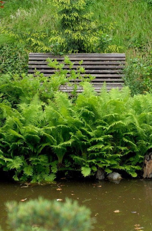 Meditační zahrada - Životní dílo politického vězně 50. let Luboše Hrušky. Za dobu 40 let vznikl ojedinělý areál se stovkami vzácných jehličnanů a s monumentální Křížovou cestou akademického sochaře R. Podrázského. Součástí zahrady kaple sv. M. Kolbeho.