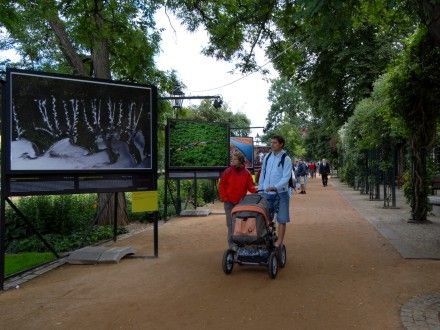 Vernisáže výstavy se mimo jiné zúčastnil i primátor města Plzně Rödl a kurátorka výstavy paní Menzelová-Kelymanová s manželem. Výstava probíhá v Šafaříkových a Křižíkových sadech v Plzni do 7.10.2007.