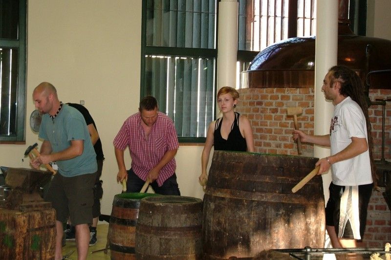 Jak by se mohla změnit Plzeň do roku 2015, kdy bude hlavním evropským městem kultury, představuje (od 28.6.2011) výstava s názvem Proměna města: Plzeň v roce 2015. K vidění je v Návštěvnickém centru Plzeňského Prazdroje od včerejšího dne, kdy byla slavnostně zahájena.

Šest stěžejních akcí, které se vážou k projektu Evropské hlavní město kultury, se prezentují na jednadvaceti panelech. Návštěvníci se tak mohou více dozvědět o připravované výstavbě nového divadla v Jízdecké ulici, návrhu budovy Západočeské galerie v Plzni, revitalizaci areálu Světovar, relaxačním centru ve Štruncových sadech nebo o sportovně-rekreačních trasách podél řek a oživení veřejných prostranství.