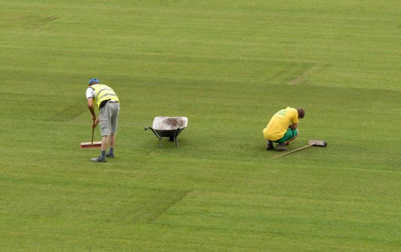 Hrací plocha stadionu ve Štruncových sadech je opět zelená. Ve středu 29. června položili pracovníci odborné firmy nový trávník, který pochází z Nizozemí. Kromě travnaté plochy se na stadionu staví nové tribuny.

I přes stavební práce by se na stadionu měl 23. července uskutečnit zápas o český superpohár a v nejbližší době se také rozhodne, zda Viktoria sehraje doma zápas předkola Ligy mistrů s arménským Jerevanem.