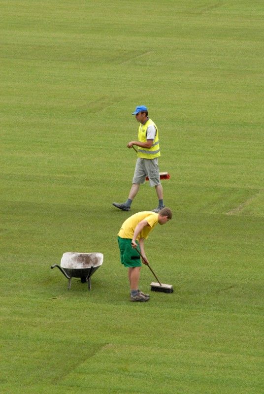Hrací plocha stadionu ve Štruncových sadech je opět zelená. Ve středu 29. června položili pracovníci odborné firmy nový trávník, který pochází z Nizozemí. Kromě travnaté plochy se na stadionu staví nové tribuny.

I přes stavební práce by se na stadionu měl 23. července uskutečnit zápas o český superpohár a v nejbližší době se také rozhodne, zda Viktoria sehraje doma zápas předkola Ligy mistrů s arménským Jerevanem.