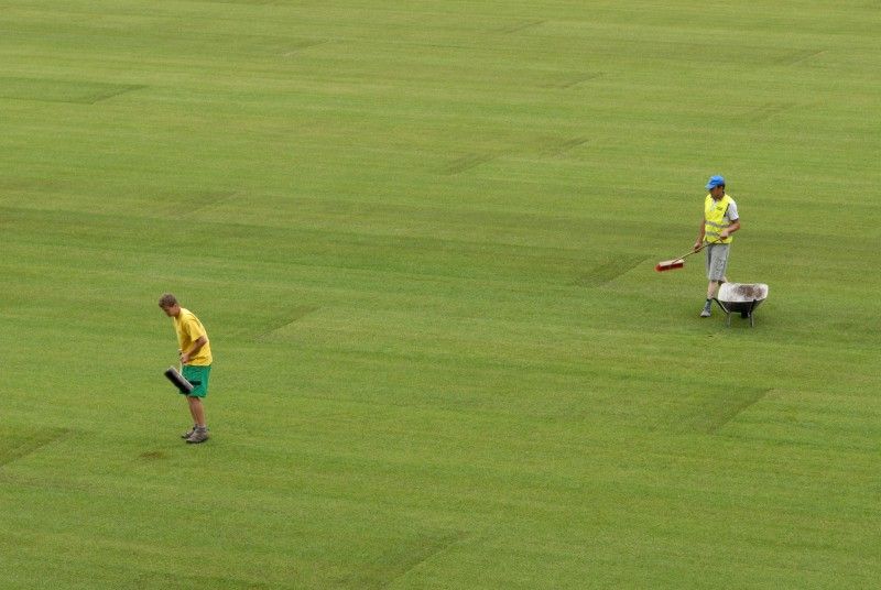 Hrací plocha stadionu ve Štruncových sadech je opět zelená. Ve středu 29. června položili pracovníci odborné firmy nový trávník, který pochází z Nizozemí. Kromě travnaté plochy se na stadionu staví nové tribuny.

I přes stavební práce by se na stadionu měl 23. července uskutečnit zápas o český superpohár a v nejbližší době se také rozhodne, zda Viktoria sehraje doma zápas předkola Ligy mistrů s arménským Jerevanem.