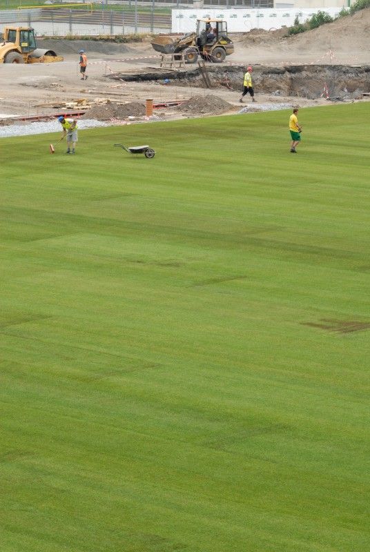 Hrací plocha stadionu ve Štruncových sadech je opět zelená. Ve středu 29. června položili pracovníci odborné firmy nový trávník, který pochází z Nizozemí. Kromě travnaté plochy se na stadionu staví nové tribuny.

I přes stavební práce by se na stadionu měl 23. července uskutečnit zápas o český superpohár a v nejbližší době se také rozhodne, zda Viktoria sehraje doma zápas předkola Ligy mistrů s arménským Jerevanem.