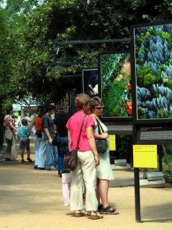 Výstava probíhá v Šafaříkových a Křižíkových sadech v Plzni do 7.10.2007.