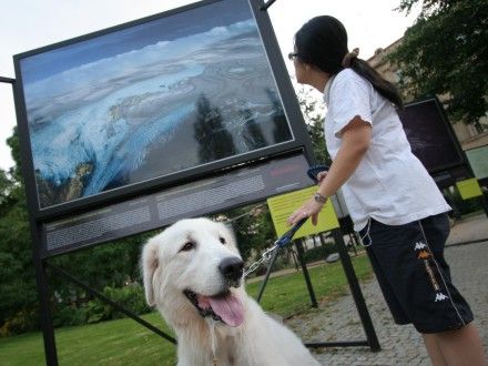 Výstava probíhá v Šafaříkových a Křižíkových sadech v Plzni do 7.10.2007.