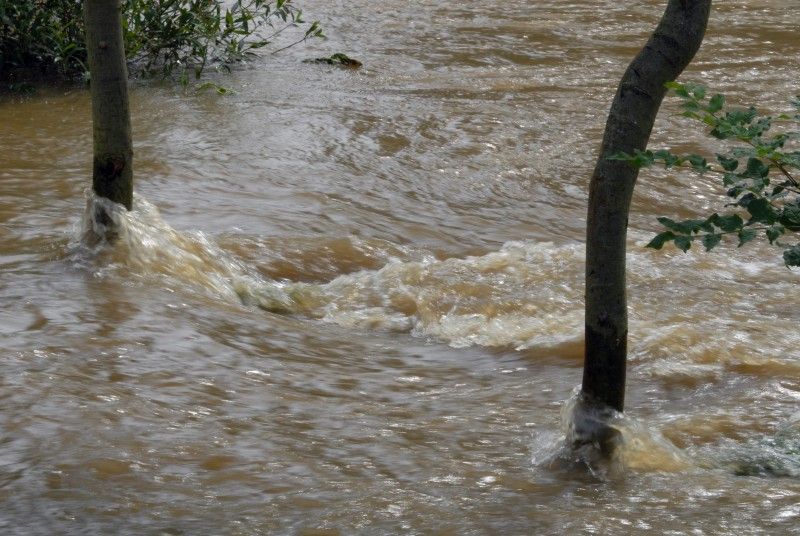 Na třetí stupeň povodňové aktivity vystoupala díky včerejšímu (20.7.2011) vydatnému dešti hladina Úslavy v Plzni - Koterově.

Voda z řeky se rozlila na pastviny a přilehlé pozemky, zasáhla také tři domy v ul. Na Břehu. Podle vedoucí odboru životního prostředí magistrátu Dagmar Svobodové se kulminace vody na Úslavě očekává mezi 12. a 15. hodinou. Se situací přímo na místě se seznámil primátor Martin Baxa a starosta městského obvodu Plzeň 2 – Slovany Lumír Achenbrenner (21.7.2011).