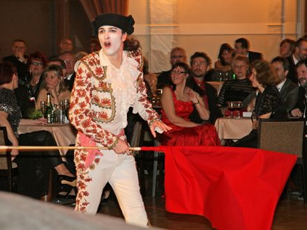 Reprezentační ples města Plzně se uskutečnil 25. ledna 2008 v Měšťanské besedě. Dramaturgie se nesla v duchu jízdy mimořádného Plzeňského expresu, který v průběhu večera zastavil ve vybraných evropských městech.