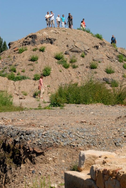 Nebývalý zájem provázel Den otevřených sond (3.9.2011), který Plzeňanům umožnil nahlédnout do lokality, kde Západočeský institut pro ochranu a dokumentaci památek prováděl do konce července archeologický průzkum, a kde má být do roku 2014 vystavěna nová budova divadla. Zájemci si mohli prohlédnout vzácné nálezy z období vrcholného středověku a raného novověku. S odborným výkladem je provázeli archeologové institutu.