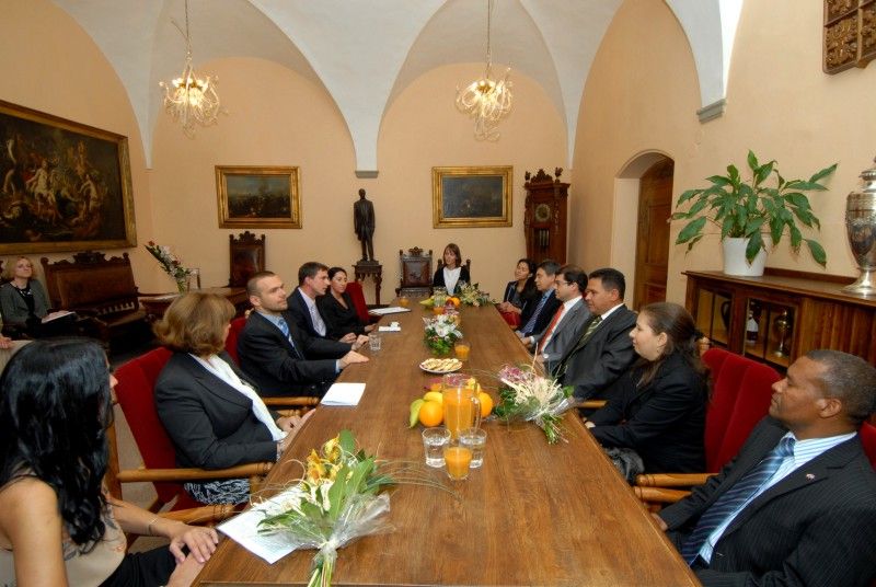 Za účasti zástupců velvyslanectví a konzulátů zemí Latinské Ameriky byla dnes (10.10.2011) odpoledne na plzeňské radnici zahájena výstava fotografií s názvem FOTOIBEROAMÉRICA. V rámci Týdne hispánské kultury, který se v Plzni koná od 3. do 16. října, ji ve spolupráci s Iberoamerickou nadací umění a pod záštitou primátora Martina Baxy připravilo Centrum španělské kultury a vzdělávání. Výstava zahrnuje dvě fotografie z každé země Latinské Ameriky. Snímky nafotili profesionální fotografové a týkají se aktuálních témat, která mají zároveň mezinárodní dosah. „Iberoamerika je velká kulturní velmoc, nápadná svojí značnou rozličností, díky které se zde vytváří prostor pro další kultury. Výstava zachycuje různorodost oblasti, jejího lidu, jejího cítění a barev. Vše pomocí obrazu,“ uvedla Martina Košanová z Centra španělské kultury a vzdělávání.

„Moje radost z výstavy je dvojí. Expozice totiž dokazuje, že Plzeň je po zásluze Evropským hlavním městem kultury 2015. Úspěchem jsme ukázali, že je důležité naplňovat mezin