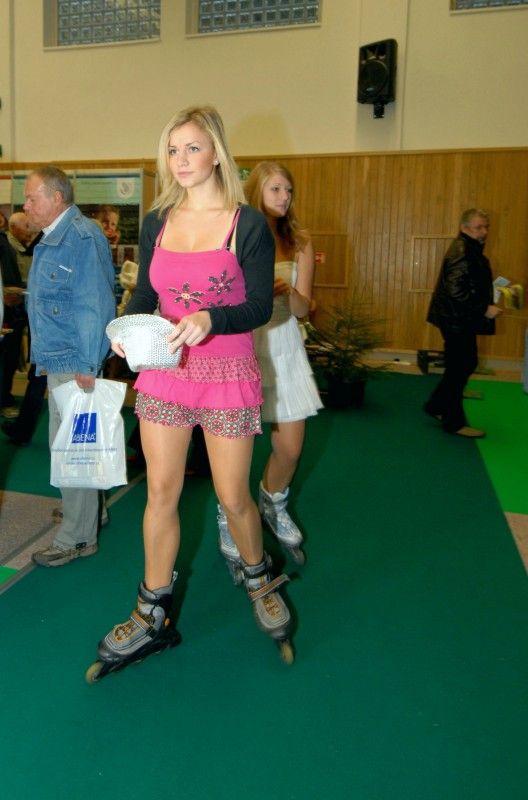 Kompletní informace z oblasti cestování a turistiky o různých zajímavých místech nejen Plzeňského kraje a České republiky, ale také některých zahraničích lokalitách získají návštěvníci sedmého ročníku veletrhu cestovního ruchu ITEP, který byl dnes dopoledne zahájen v prostorách Městské sportovní haly v Plzni na Slovanech. Expozice zde otevřelo více jak sto vystavovatelů.

Návštěvníkům jsou k dispozici nejen nabídky ubytování a rekreací, ale také mapy, cyklomapy, informační brožury a další materiály pro cestovatele. Pro veřejnost je připraven i bohatý doprovodný program včetně soutěží, hudebních vystoupení a ochutnávek piva a kulinářských specialit. Zajímavostí letošního ročníku budou odborné semináře a především delegace vystavovatelů z Indie.

Zahájení veletrhu, který potrvá do soboty 22. října, se zúčastnila náměstkyně pro kulturu a cestovní ruch Eva Herinková. Ta také na veletrhu převzala od společnosti HelpTour – Agenura pro rozvoj cestovního ruchu certifikát MAGNI - poděkování za podporu církevní tur