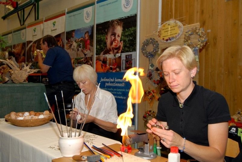 Kompletní informace z oblasti cestování a turistiky o různých zajímavých místech nejen Plzeňského kraje a České republiky, ale také některých zahraničích lokalitách získají návštěvníci sedmého ročníku veletrhu cestovního ruchu ITEP, který byl dnes dopoledne zahájen v prostorách Městské sportovní haly v Plzni na Slovanech. Expozice zde otevřelo více jak sto vystavovatelů.

Návštěvníkům jsou k dispozici nejen nabídky ubytování a rekreací, ale také mapy, cyklomapy, informační brožury a další materiály pro cestovatele. Pro veřejnost je připraven i bohatý doprovodný program včetně soutěží, hudebních vystoupení a ochutnávek piva a kulinářských specialit. Zajímavostí letošního ročníku budou odborné semináře a především delegace vystavovatelů z Indie.

Zahájení veletrhu, který potrvá do soboty 22. října, se zúčastnila náměstkyně pro kulturu a cestovní ruch Eva Herinková. Ta také na veletrhu převzala od společnosti HelpTour – Agenura pro rozvoj cestovního ruchu certifikát MAGNI - poděkování za podporu církevní tur