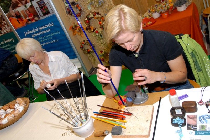 Kompletní informace z oblasti cestování a turistiky o různých zajímavých místech nejen Plzeňského kraje a České republiky, ale také některých zahraničích lokalitách získají návštěvníci sedmého ročníku veletrhu cestovního ruchu ITEP, který byl dnes dopoledne zahájen v prostorách Městské sportovní haly v Plzni na Slovanech. Expozice zde otevřelo více jak sto vystavovatelů.

Návštěvníkům jsou k dispozici nejen nabídky ubytování a rekreací, ale také mapy, cyklomapy, informační brožury a další materiály pro cestovatele. Pro veřejnost je připraven i bohatý doprovodný program včetně soutěží, hudebních vystoupení a ochutnávek piva a kulinářských specialit. Zajímavostí letošního ročníku budou odborné semináře a především delegace vystavovatelů z Indie.

Zahájení veletrhu, který potrvá do soboty 22. října, se zúčastnila náměstkyně pro kulturu a cestovní ruch Eva Herinková. Ta také na veletrhu převzala od společnosti HelpTour – Agenura pro rozvoj cestovního ruchu certifikát MAGNI - poděkování za podporu církevní tur