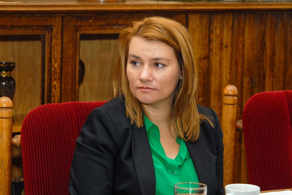 Možné zapojení města Plzně do pilotního projektu testování státem připravované koncepce sociálního bydlení, ale i náplň pro objekty nemocnice na Borech, které by se měly v budoucnu uvolnit po výstavbě nového chirurgického pavilonu, byly dnes (8.9.2015) mimo jiné tématy setkání ministryně práce a sociálních věcí Michaely Marksové a její náměstkyně Zuzany Jentschke Stöcklové se zástupci města Plzně.